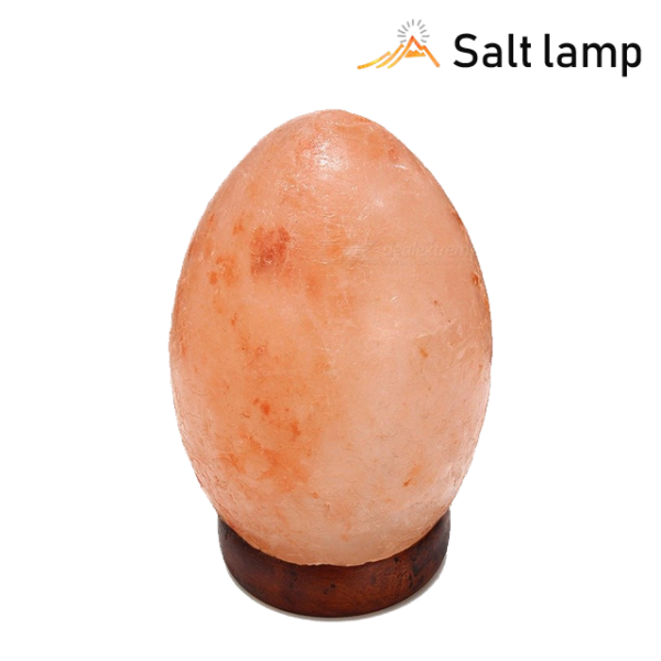 Egg shaped Salt Lamp